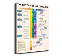 FOPURE Gift for Science Lovers - Evolution of Life on Earth Poster, History Art Print for Students, Teachers, Biology Enthusiasts(Framed,08x12inch(20x30cm))