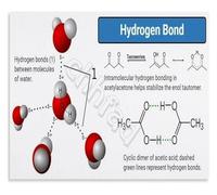 FOPURE Hydrogen Bonding in Water and DNA Educational Science Poster Chemistry Classroom Chart for Study Aid(Unframed,08x12inch(20x30cm))