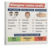 FOPURE Nursing Student Guide Poster - Glasgow Coma Scale (GCS) Assessment Chart, School & Nurse Office Decor(Framed,16x24inch(40x60cm))