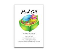 FOPURE Plant Cell Diagram Poster Science Biology Chart for Homeschool Students and STEM Learning Wall Decor(Framed,12x18inch(30x45cm))