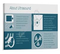 FOPURE Sonography Ultrasound Educational Poster Imaging Reference for Training School Science Room Canvas Wall-Art(Unframed,12x18inch(30x45cm))