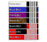FOPURE The Essential BJJ Belt Progression Chart Educational Poster Canvas for Every Grapplers Home(Unframed,12x18inch(30x45cm))