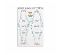 FOPURE The Pet 's Reference: Dog & Cat Teeth Chart Poster - Unframed Canvas Print for Animal Specialist, Mobile Clinic(Framed,12x18inch(30x45cm))