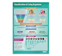 FOPURE Tree of Life Biology Poster, Classification of Living Organisms Wall Chart, Large Format Science Decor for Classroom or(Unframed,16x24inch(40x60cm))