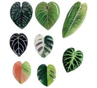 Fopytu 8 Pièces Aimants De Réfrigérateur De Plante Aimants De Réfrigérateur Mignons De Feuille De Monstera Décor De Cuisine À Maison, Casier De Bureau, Autocollants De Tableau
