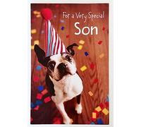 For A Very Special Son - How Much You're Loved and Celebrated Every Day of The Year! Have a Very Happy Birthday Greeting Card w/Boston Terrier Dog