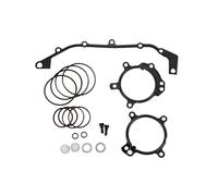 For Bmws Dual Vanos O-ring Seal Repair Kit E36 E39 E46 E53 E60 E83 E85 M52tu M54 M56