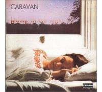 For Girls Who Grow Plump In The Night