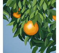 for The First Time Again