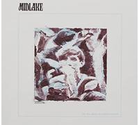 Midlake - For The Sake Of Bethel Woods [Cd]