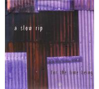 for The Time Being [Import]