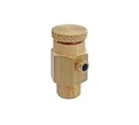 Somatherm – Purgeur d'air mâle 1/4" (8/13) – laiton brut, molette, facile à installer