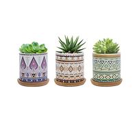 FORAGIFT Lot de 3 pots de plantes succulentes de 7,5 cm, pots en céramique à motif coloré pour cactus, petits pots de plantes pour l'intérieur et l'extérieur avec plateau en bambou, idéal pour la