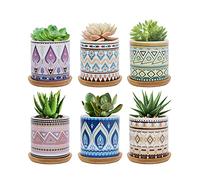 FORAGIFT Lot de 6 pots de fleurs succulentes de 7,5 cm en céramique à motif coloré pour plantes grasses d'intérieur et d'extérieur avec plateau en bambou, idéal pour la décoration de la maison et du