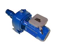FORAS JA200/1 Pompe centrifuge électrique auto-amorçante, Pompe de relevage, Surpresseur, fabriquée en Italie, roue en bronze, 230 V, 2,2 kW, 90 l/min, 62,5 m