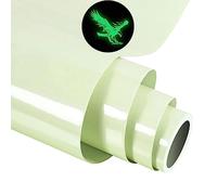 FORBELL Vinyle de Transfert de Chaleur, Lumineux vinyle thermocollant (Lumineux - Vert clair (mat), 30,5cm×3m)