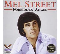 Forbidden Angel by Mel Street (2013-01-01)