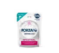 Force 10 humide chat INTESTINAL, aliment complet diététique pour chats adultes de toutes tailles et races souffrant de troubles intestinaux goût poisson, pour chats | 12 sachets de 80 grammes chacun.