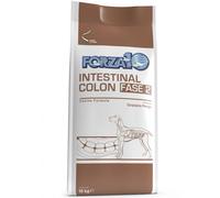 Force 10 - Intestinal Colon Phase 2 - 10 KG