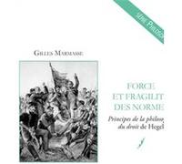 Force et fragilité des normes Gilles Marmasse (Auteur)