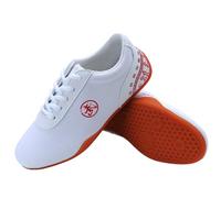 ForceRoute Chaussures de Taichi,Chaussures Art Martiaux,Chaussures Kung Fu,Chaussures de Taekwondo,Canevas,Respirant,Unisexe,pour Homme Femme Enfants Adultes,pour Boxe,Wing Chun,Qi Gong,Shaolin