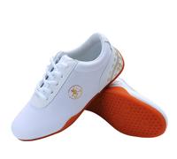 ForceRoute Chaussures de Taichi,Chaussures Art Martiaux,Chaussures Kung Fu,Chaussures de Taekwondo,Canevas,Respirant,Unisexe,pour Homme Femme Enfants Adultes,pour Boxe,Wing Chun,Qi Gong,Shaolin