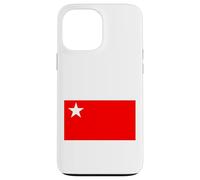 Forces de défense populaire du Myanmar PDF P.D.F. Coque pour iPhone 13 Pro Max