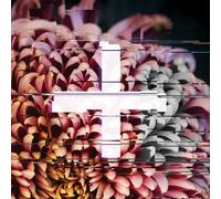 FOREIGN EXCHANGE PRESENTS - +FE Music: The Reworks
