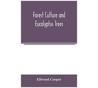 Forest Culture And Eucalyptus Trees