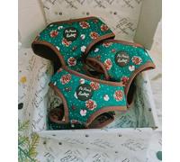 Forest Fir Cone Harnais pour Chien Taille XS