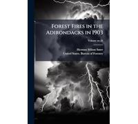 Forest Fires in the Adirondacks in 1903