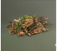 Forest Floor CD