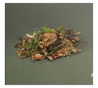 Fergus McCreadie – Forest Floor – CD