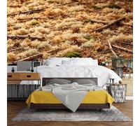 Forest Floor Mural Wallpaper, Natural Landscape Peel And Stick Wall Paper 250X160Cm(Wxh) Self Adhesive Removable Waterproof Cottage Style Wallpaper For Bedroom Living Room Home Decor Forest Floor 250