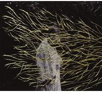 Forest Swords - Emgravings