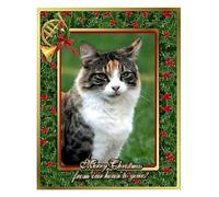 Forester Sisters - Christmas Card