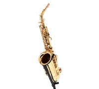 Forestone Forestone GX Gold Lacquered Alto Sax