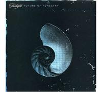 FORESTRY, FUTURE OF - Twilight