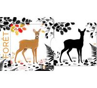 Dans la forêt – Livre en noir et blanc qui passe en couleurs grâce aux animations – Nathan