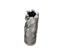 Foret annulaire pour perceuse magnétique, Kit De Perceuse À Colonne Coupe Annulaire HSS Std, 13 Pièces, Tige 3/4 Pouces, 7/16-1-1/16, 25/50mm, 2 Plats, Broches(25mm Set)