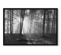 Forêt avec rayons du soleil - Poster dans un cadre photo - Format : 100 x 70 cm - Impression sur toile encadrée