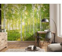 Forêt Chambre Photo Papier Peint 368x248cm Décoration Murale Vert Dîner & Vivant