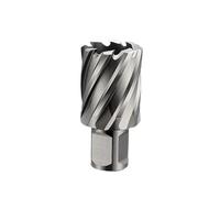 Foret creux en acier rapide Fraise annulaire HSS avec tige universelle, diamètre 12-60 mm × profondeur 25(42MM INCLUDE PIN_UNIVERSAL SHANK)
