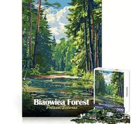 Forêt de Białowieża,Pologne,Biélorussie Puzzle de 1000 pièces pour Adolescents,idéal pour développer la logique,soulager Le Stress et créer Une Ambiance ludique et Amusante Découpe Nette,Cadeau