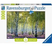 Puzzle 1000 pièces - Forêt de bouleaux multicolore G