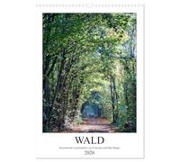 Forêt - des paysages enchanteurs, Version française (Calendrier mural 2026 DIN A3 portrait), Calendrier CALVENDO mensuel