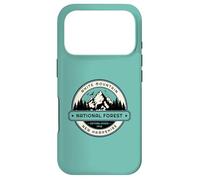 Forêt Nationale de White Mountain, New Hampshire Coque pour iPhone 17 Pro