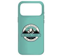 Forêt Nationale de White Mountain, New Hampshire Coque pour iPhone 17 Pro Max