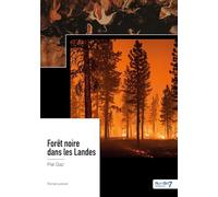 Forêt noire dans les Landes