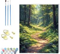 ForêT Peinture Numero Adulte avec Cadre, DIY Peinture Numero Soleil, Loisirs Créatifs Adultes, Paint by Numbers Canevas Kit Complet Adulte avec Pinceaux, Décoration Maison, Cadeau Femme 60x80cm E-4676
